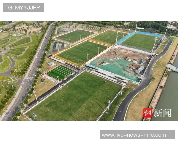 新区足球公园打造城市休闲新地标助力全民健身与足球文化发展